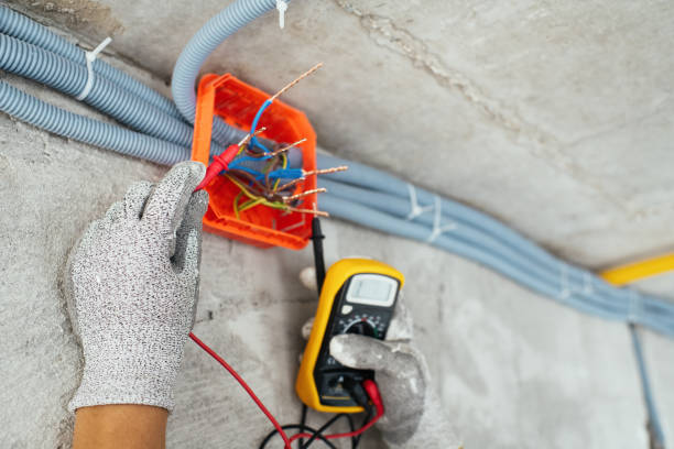 Best Ceiling Fan Installation Electrician  in Darrington, WA